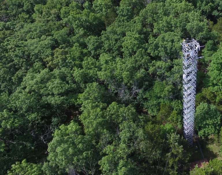 Zeiger and his team will mentor undergraduate and graduate students in research studies at MOFLUX, the University of Missouri’s AmeriFlux Missouri Ozark site near Ashland, Mo. Photo credit: Jeffrey Wood, ameriflux.lbl.gov