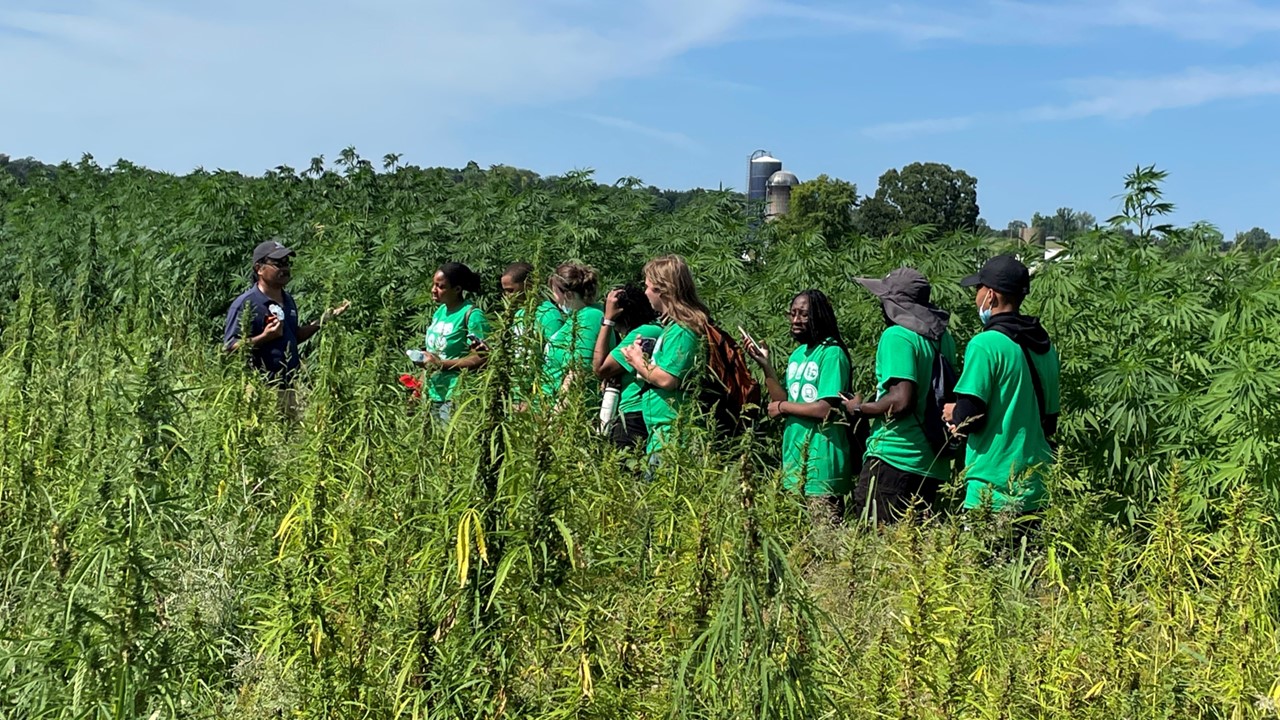 lincoln-university-of-missouri-hemp-field-research.jpg