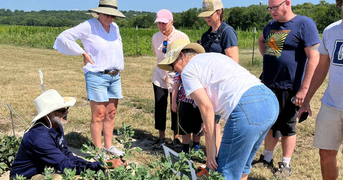 Dr. Safiullah Pathan, LUCR's Associate Professor of Crop Science, shares research on the abundant benefits and versatile applications of quinoa greens to Quinoa Day participants.