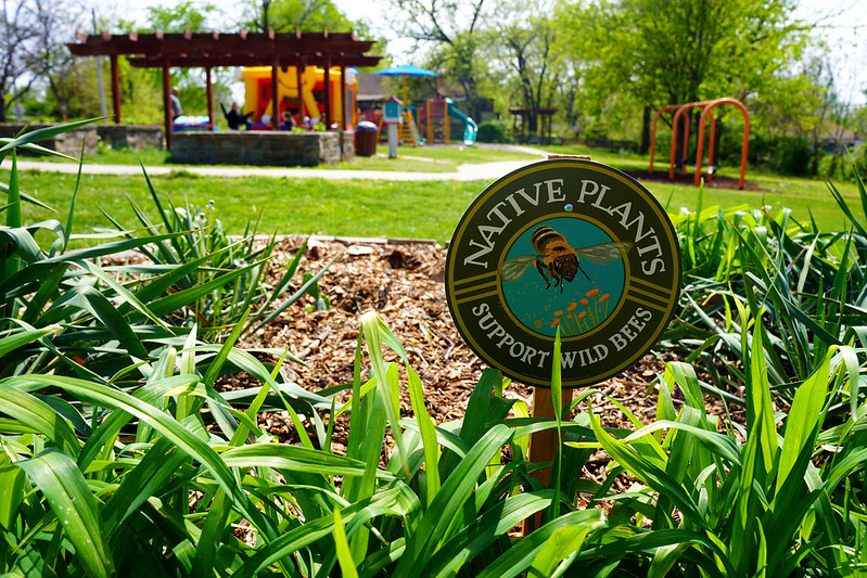 Participants learned how native plants contribute to biodiversity and support pollinators such as butterflies, birds and bees.