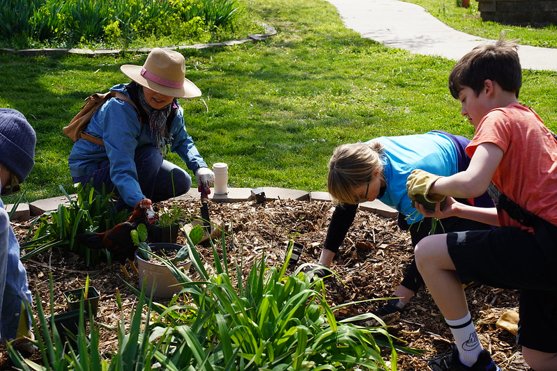 Workshop participants plant native edibles and flora provided by SCP at Nutter Ivanhoe Neighborhood Center.