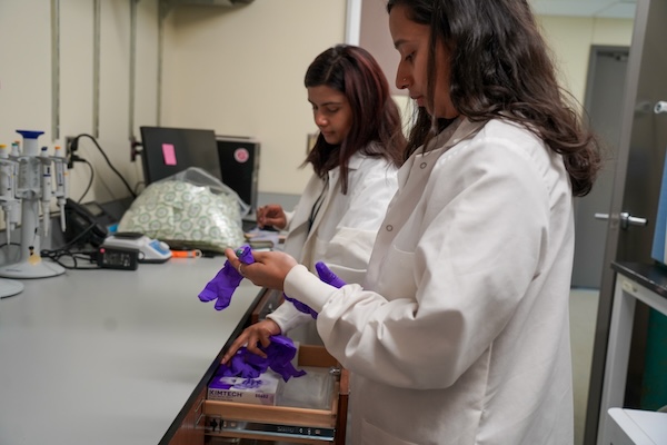 Two young women in lab coats put on latex gloves in a small laboratory. 