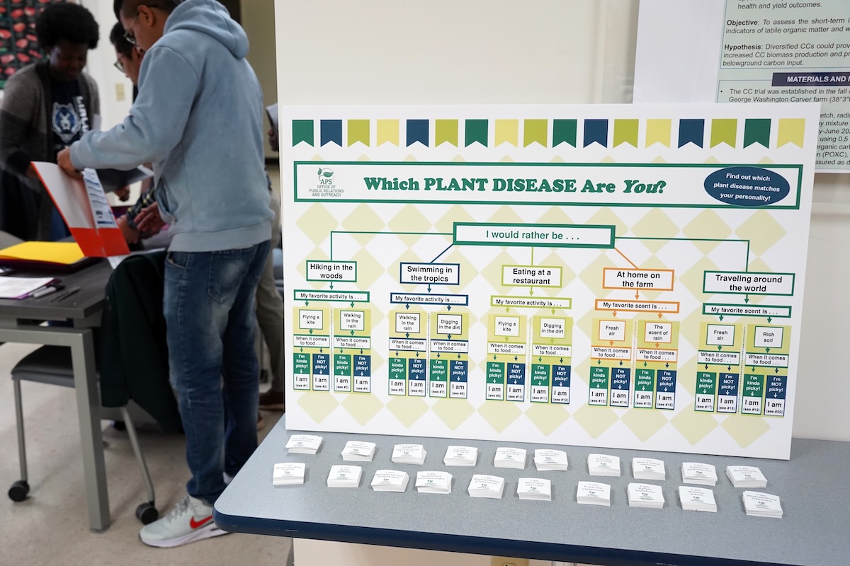 A poster with a chart that says, “Which PLANT DISEASE Are You?” with many options underneath. 