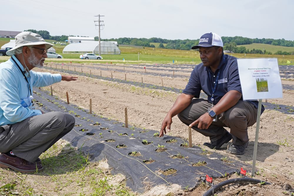 Lincoln University researchers present findings from a quinoa field trial during Carver Farm Day.