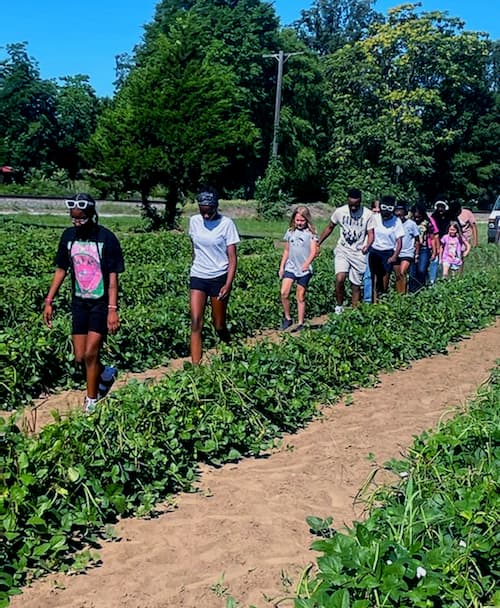 Youth walk between crop rows at one of several community garden sites affiliated with the Taylor Center. 