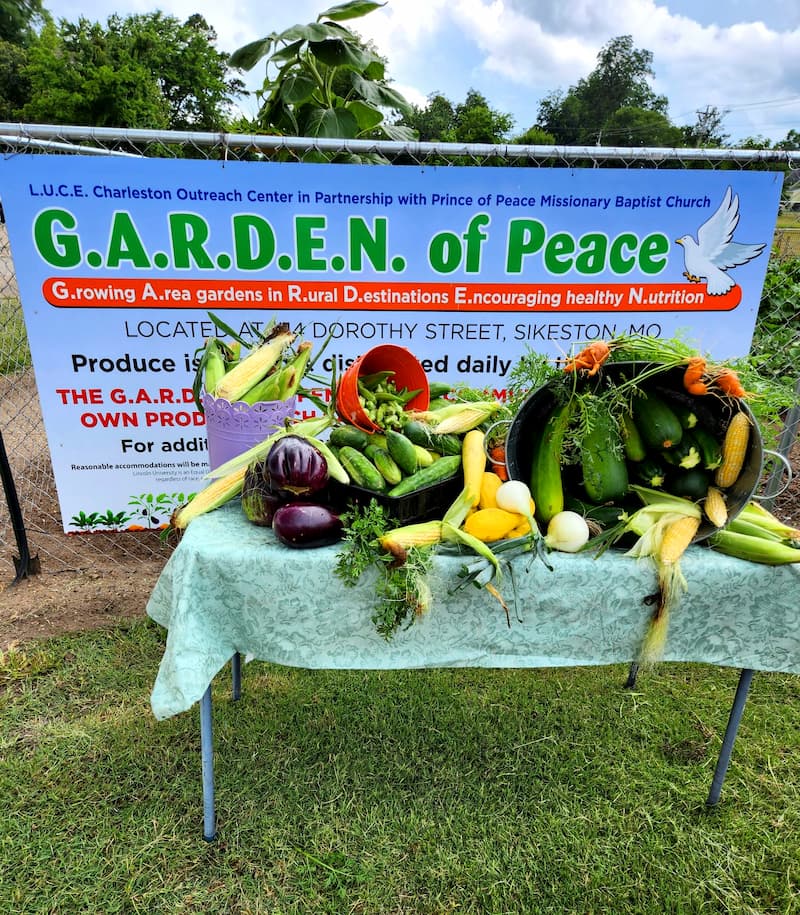 Fresh produce harvested from the Garden of Peace in Sikeston, Missouri, one of the many LUCE-supported community garden sites.