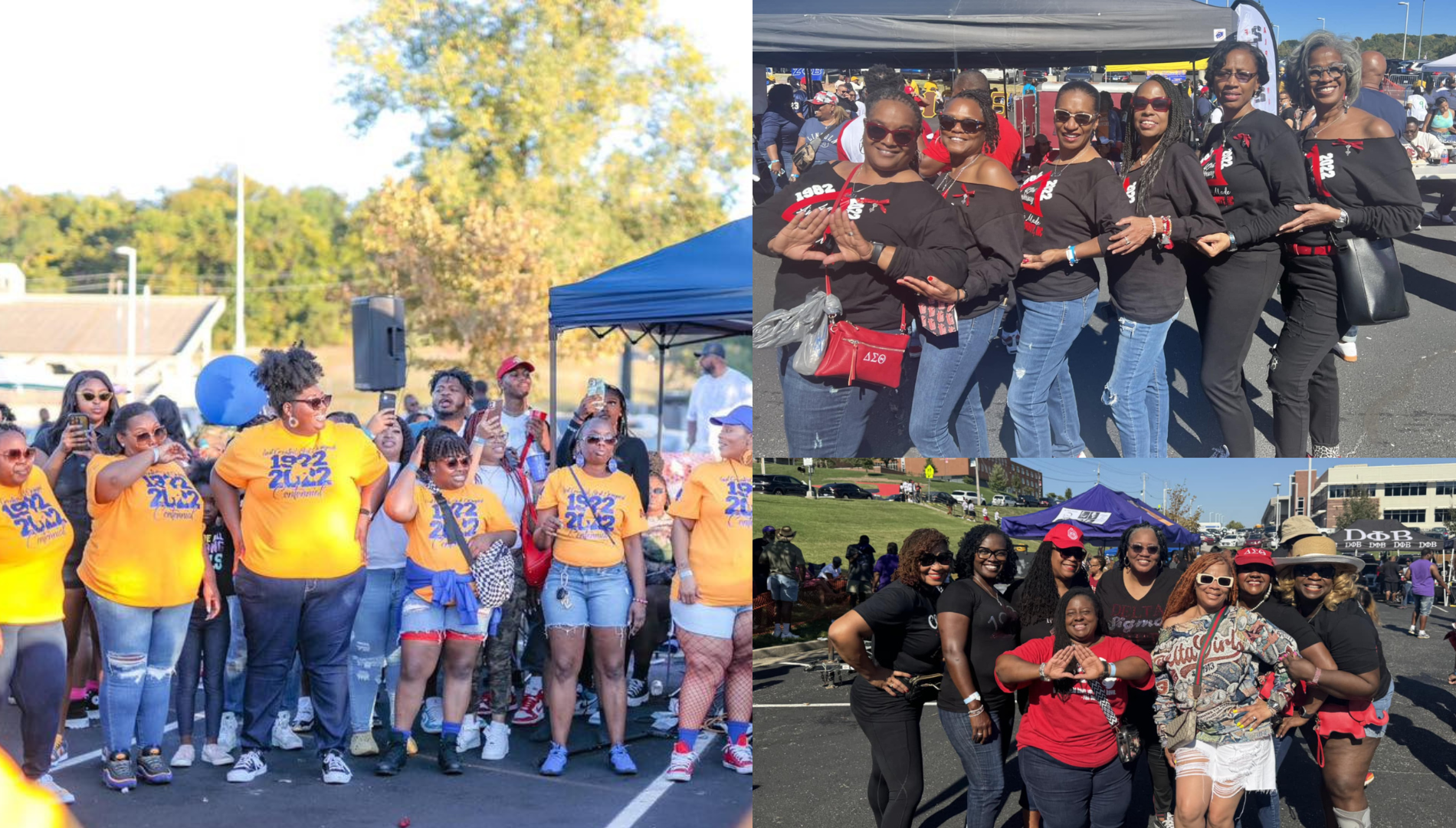 Collage of images featuring Lincoln University of Missouri alumni sorority members.