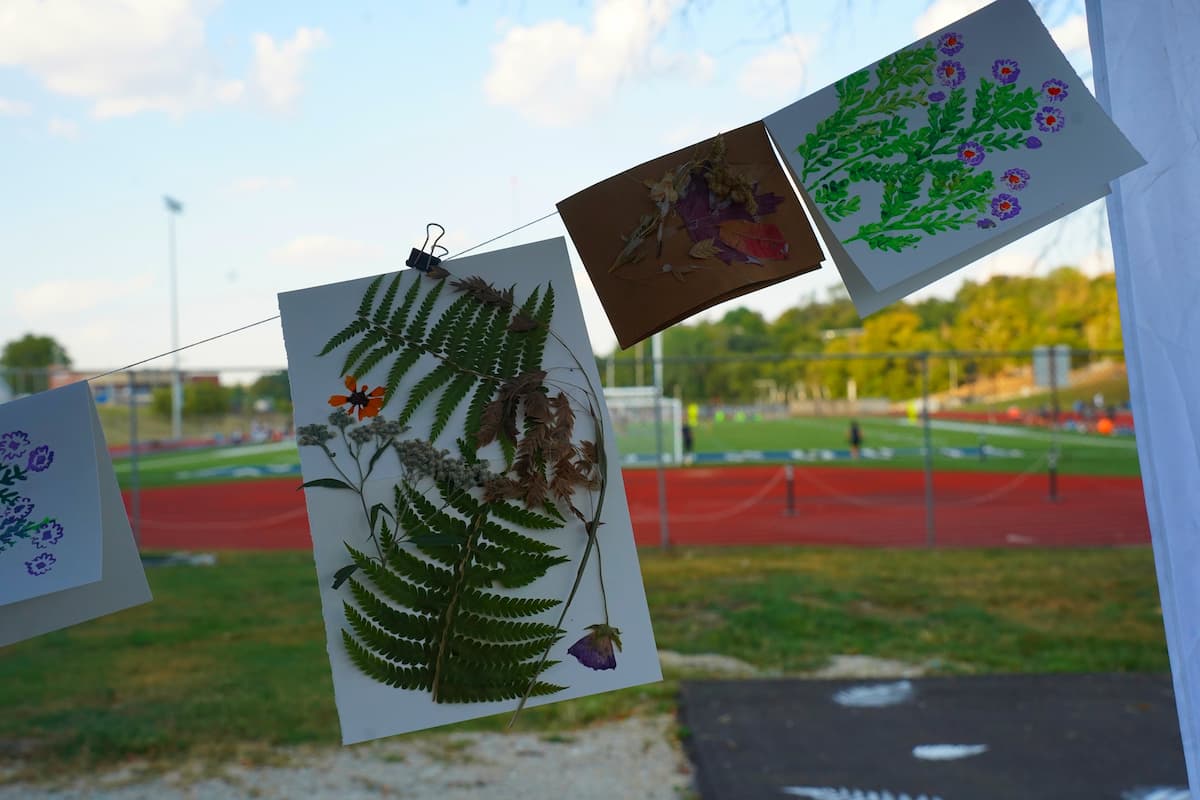 Handmade cards decorated with pressed ferns, flowers and paint dry on a line at Lincoln University, with the campus track and football field in the background.