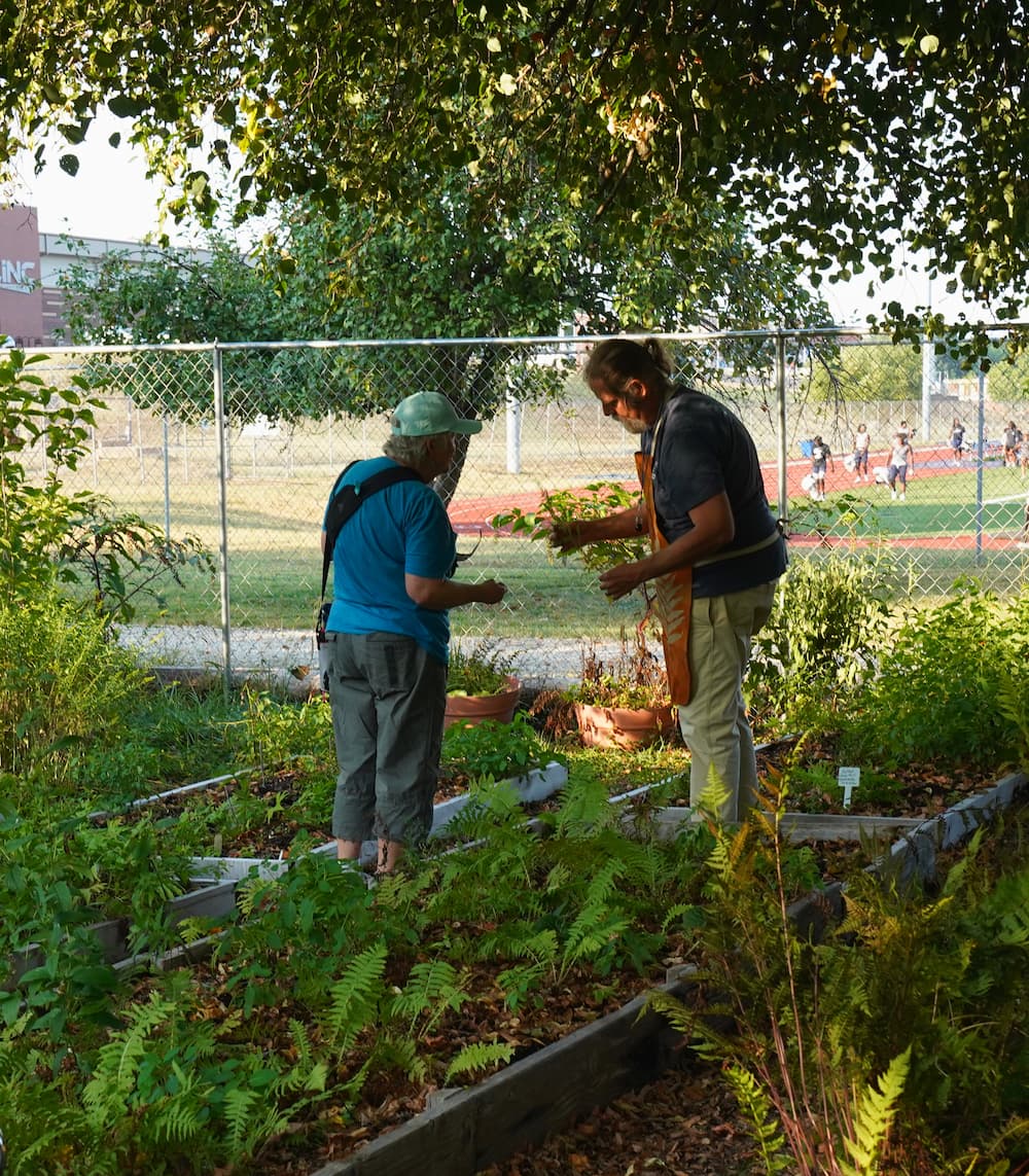 Botanist Justin Thomas talks with a visitor among the demonstration beds of native ferns at the Ferntastic Fair. 