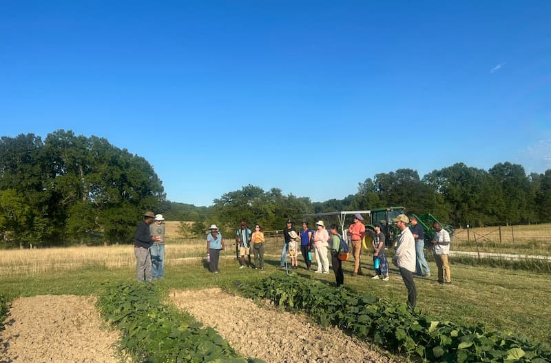 Students learn about pest management in a field setting