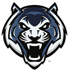 Blue Tiger Head