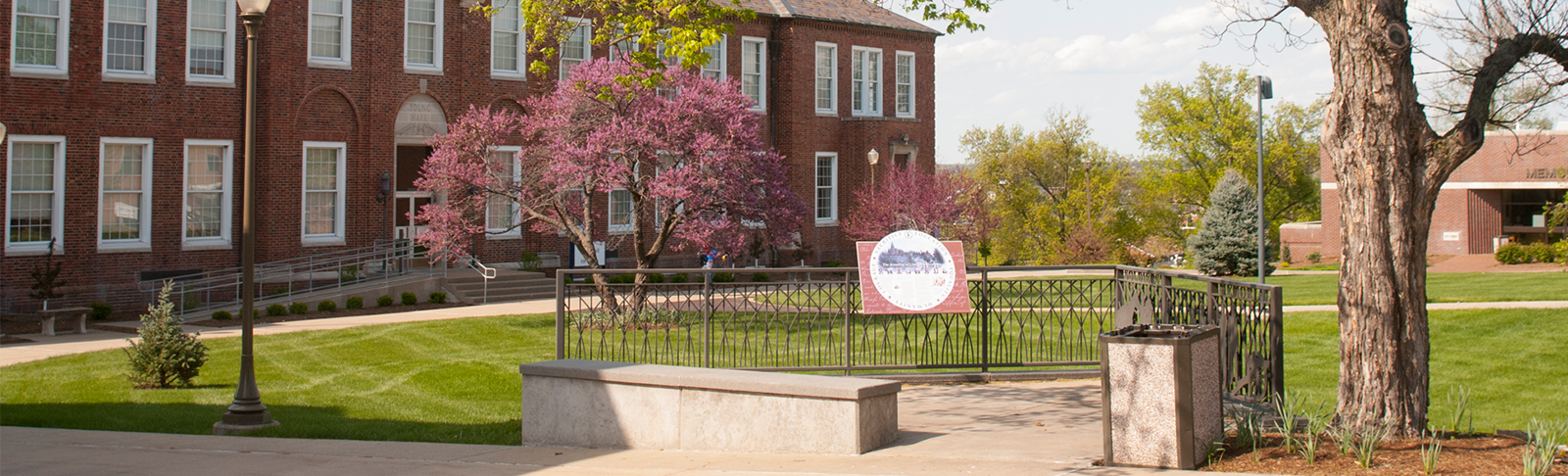 building with cherry blossom tree
