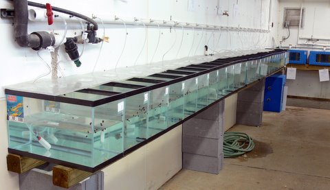 10 Gallon Flowthrough System