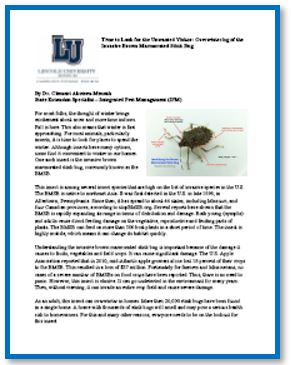 Time to Look for the Unwanted Visitor: Overwintering of the Invasive Brown Marmorated Stink Bug