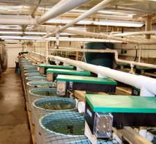 Water reuse system at Busby Farm.