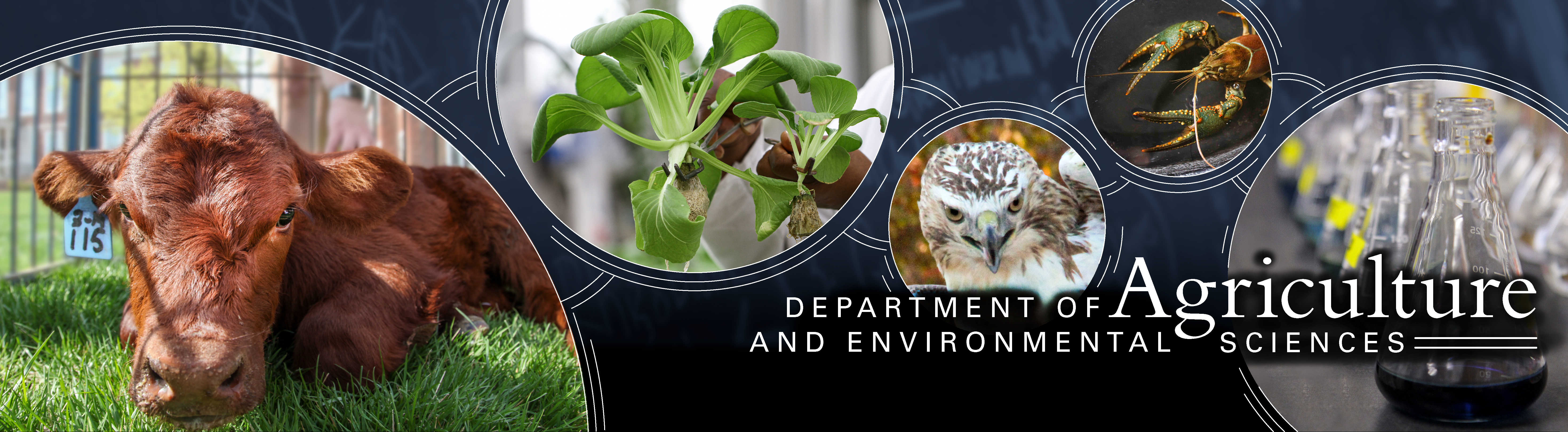 Department of Ag