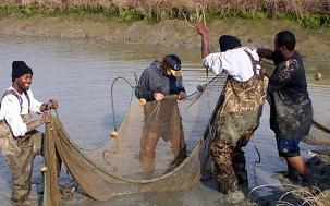 students-seining-fish.jpeg