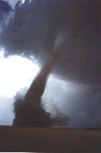 tornado-image.gif