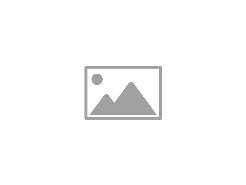 Alt Text Example 1