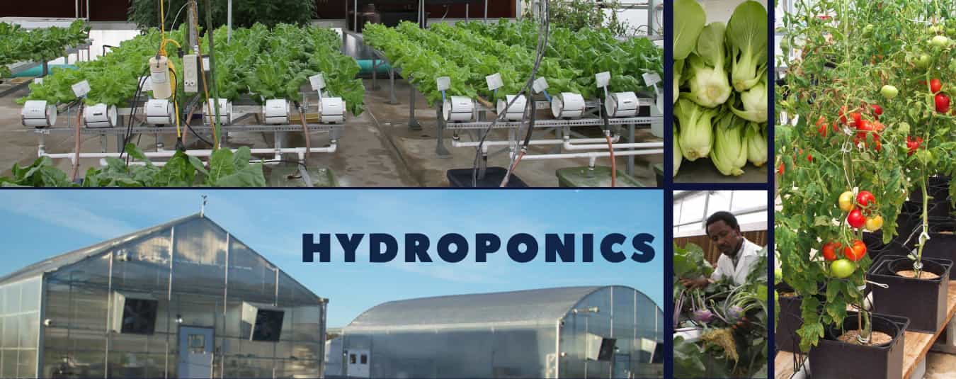 Hydroponics