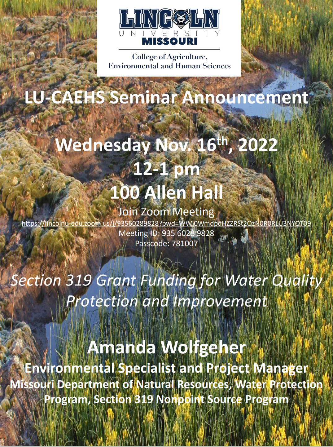 2022-11-16-CAEHS-Seminar.png