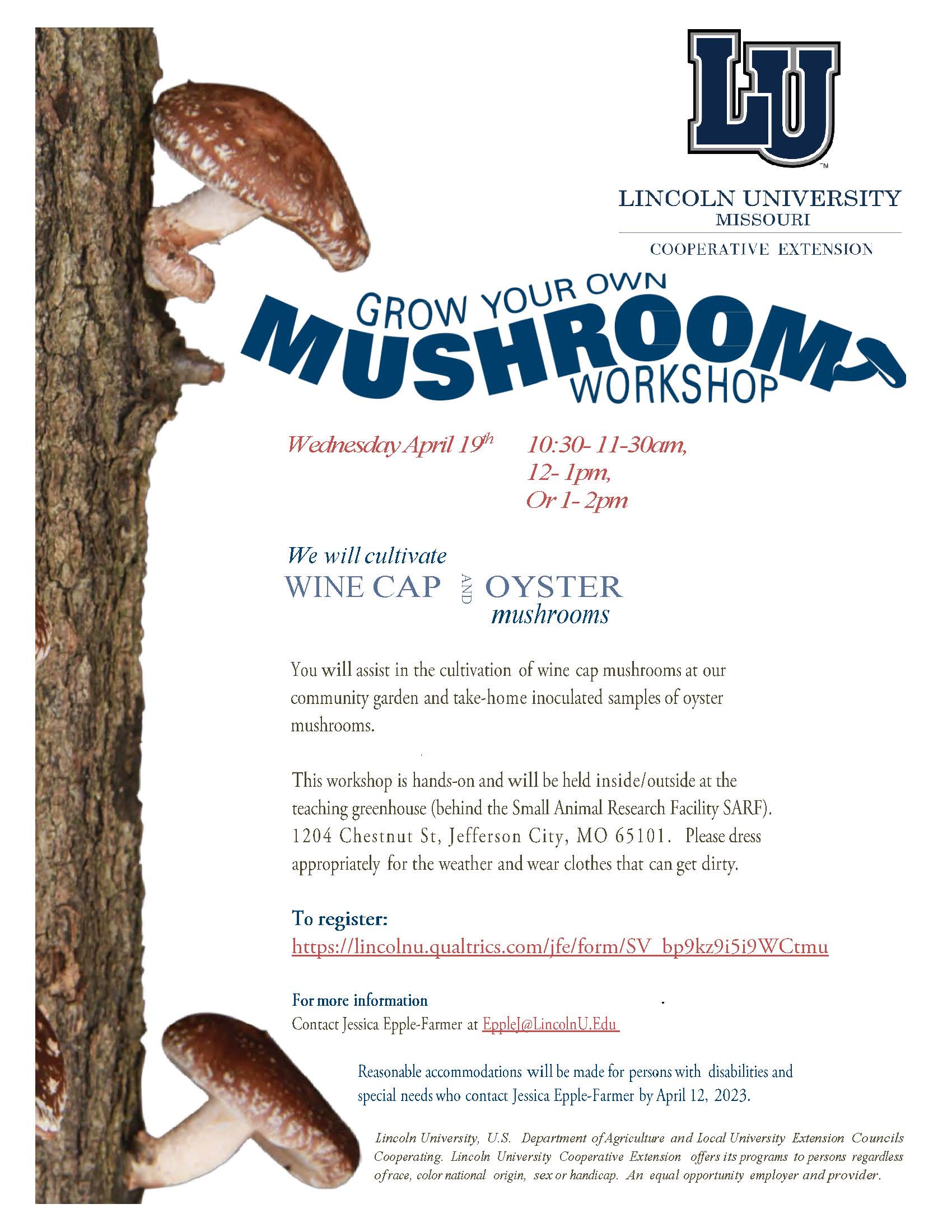 2023-04-19-Grow-Your-Own-Mushrooms-Workshop.jpg