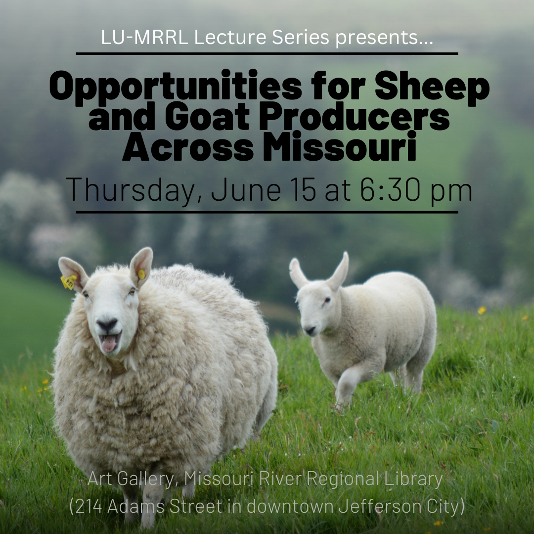 2023-06-15-LU-MRRL-Lecture-Series.png