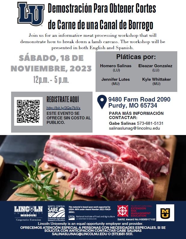 2023-11-18-Small-Ruminant-Meat-Workshop-in-Spanish-flyer.jpg