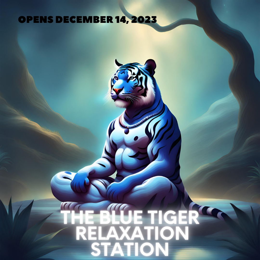 2023-12-14-relaxation-station-3.png