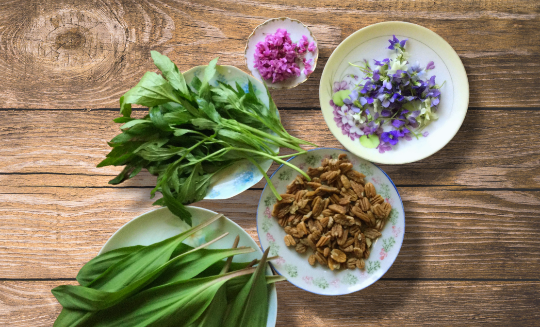 Plates of native edible plants and nuts