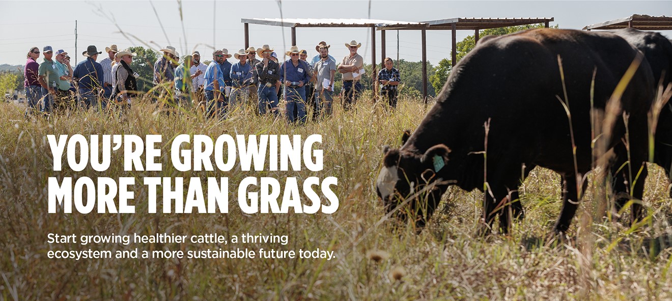 Photo of workshop attendees observing grazing cattle. You're growing more than grass. Start growing healthier cattle, a thriving ecosystem and a more sustainable future today.
