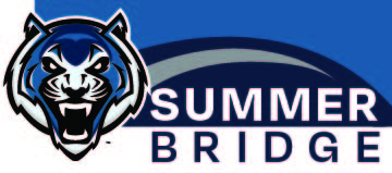 Logo with a blue tiger head and 'SUMMER BRIDGE' text on a blue background with a swoosh design.