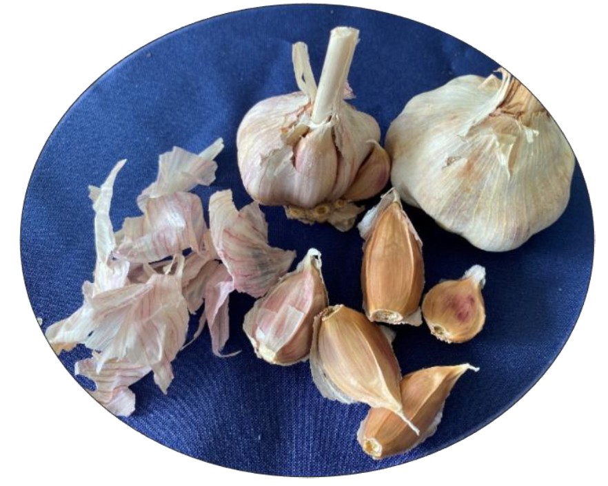 Whole and peeled garlic cloves on a dark blue fabric background.