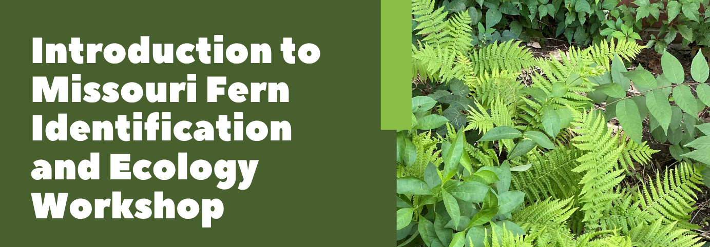 Banner with title 'Introduction to Missouri Fern Identification and Ecology Workshop' beside photo of green ferns