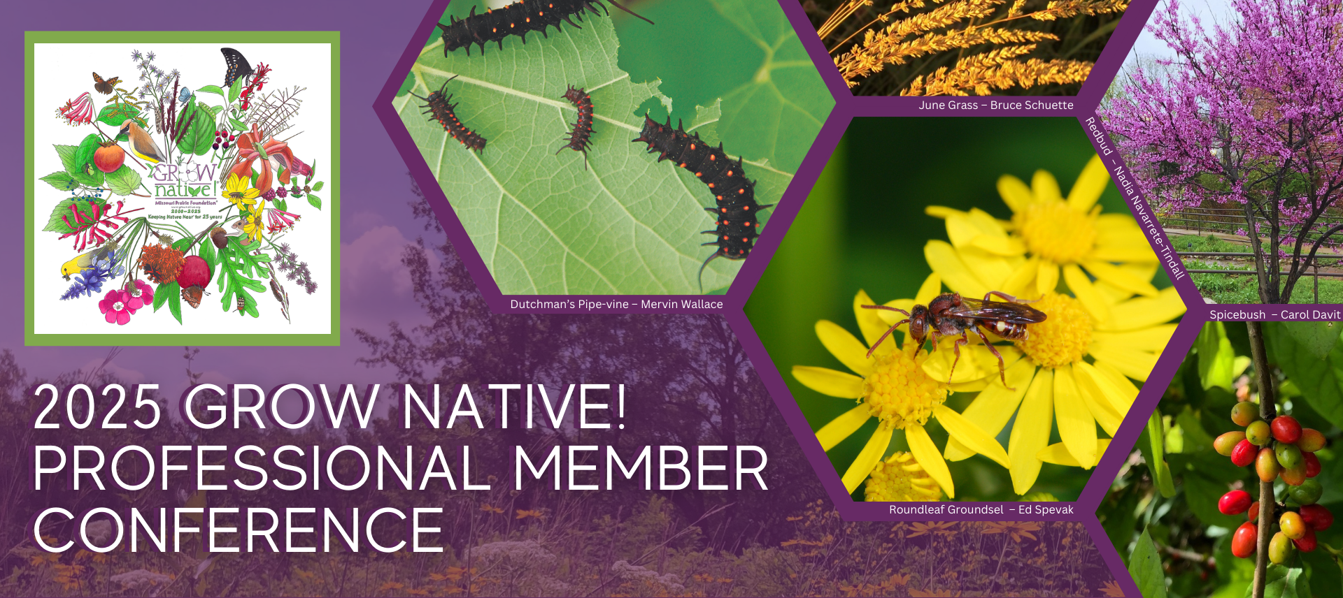 Colorful collage of native plants and insects with text reading ‘2025 Grow Native! Professional Member Conference'