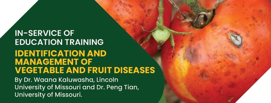 "In-service of Education Training: Identification and Management of Vegetable and Fruit Diseases" graphic with photo of diseased tomatoes.