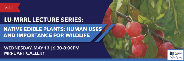 LU-MRRL Lecture Series: Native Edible PLants: Human Uses and Importance for Wildlife graphic with event details and photo of plant with green leaves and red berries