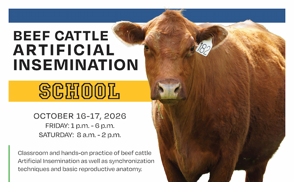 Beef Cattle Artificial Insemination School. October 16-17, 2026. Friday: 1 p.m. - 6 p.m. Saturday: 8 a.m. - 2 p.m. With photo of brown cow.