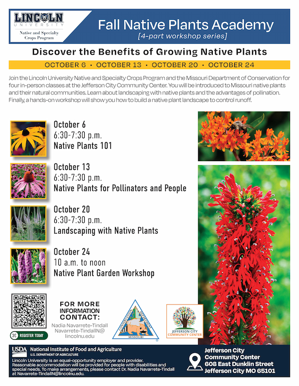 Fall Native Plants Academy flyer (4-Part Workshop Series). Full text and links below.