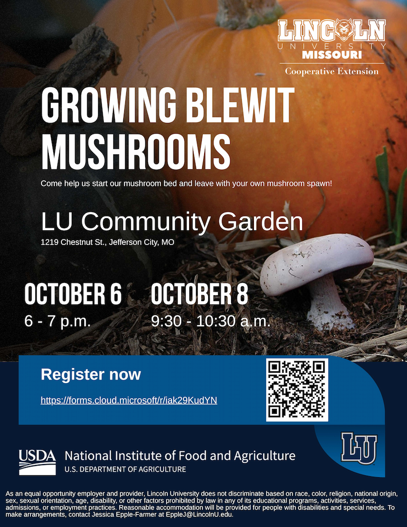 Flyer for Blewit Mushroom Workshop with photo of mushroom near large pumpkin. All content listed below.