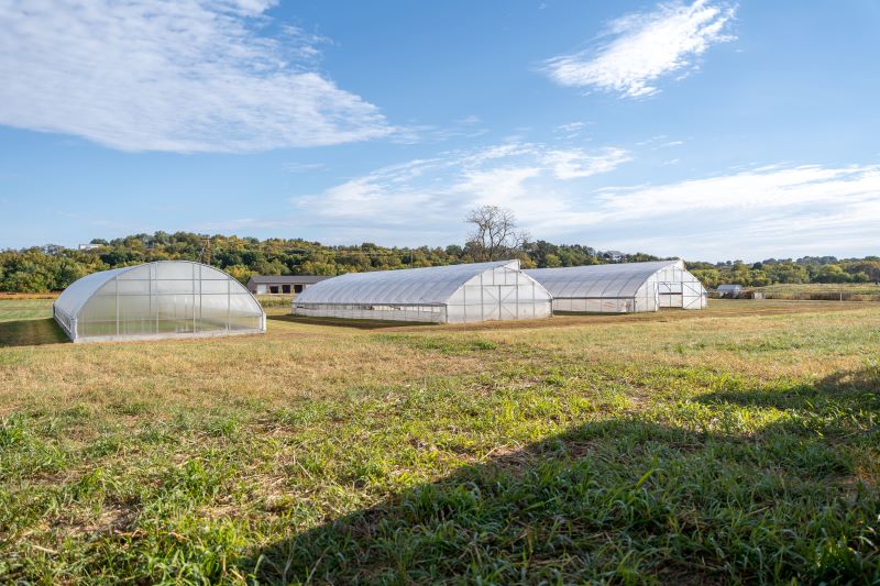 The Lincoln University of Missouri farm facilities expansion include a new Carver Farm High Tunnel. The two high tunnels on the right are currently being used for research related to the drought resistance of quinoa.  The new high tunnel on the left will be used for industrial hemp research.