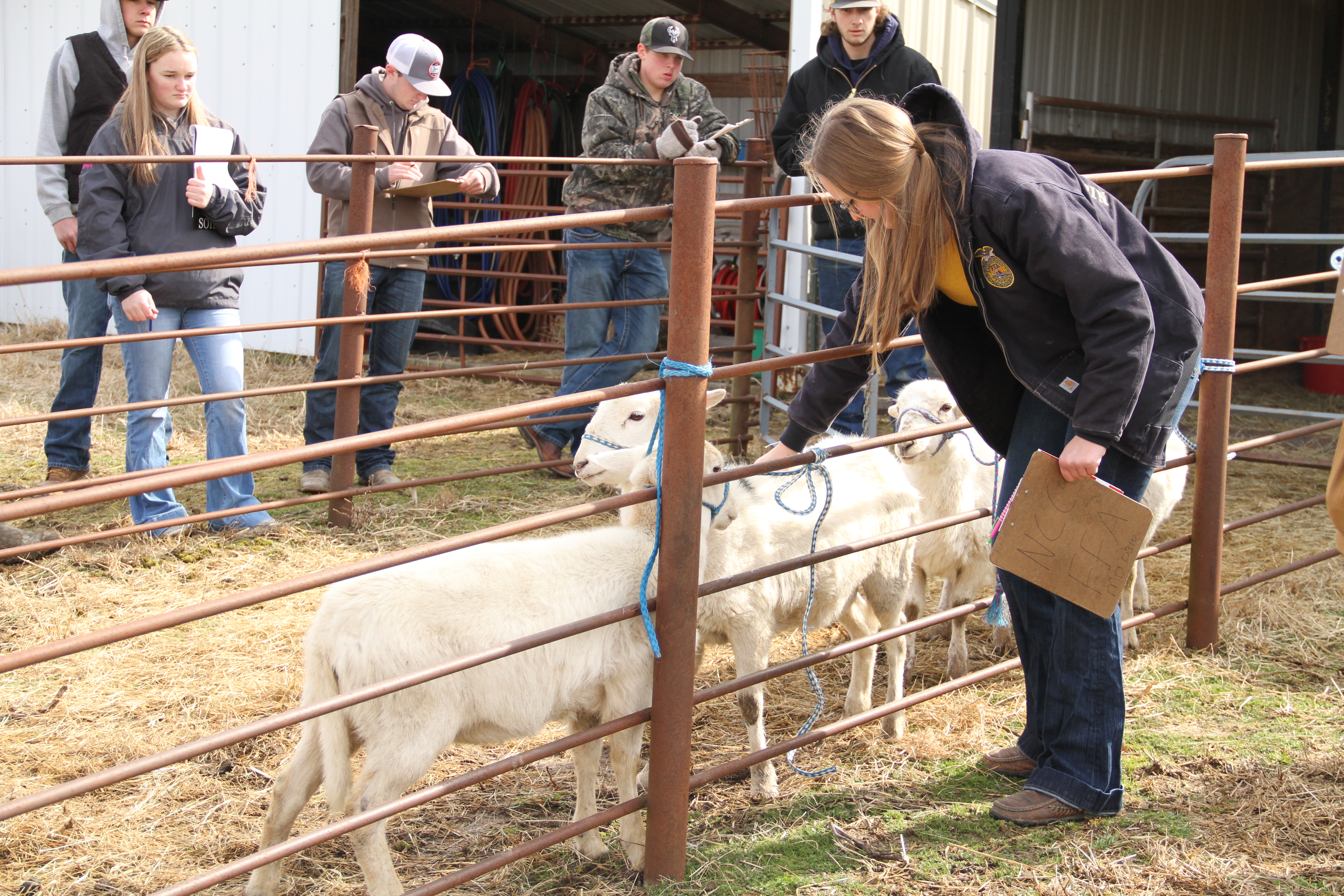 Students will put their agricultural knowledge to the test at the FFA Career Development Experience (CDE) on March 16, hosted by Lincoln University's College of Agriculture, Environmental and Human Sciences. Photo from Lincoln University’s 2022 CDE event.