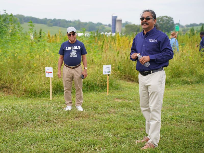 hemp-field-day-1-800.jpg