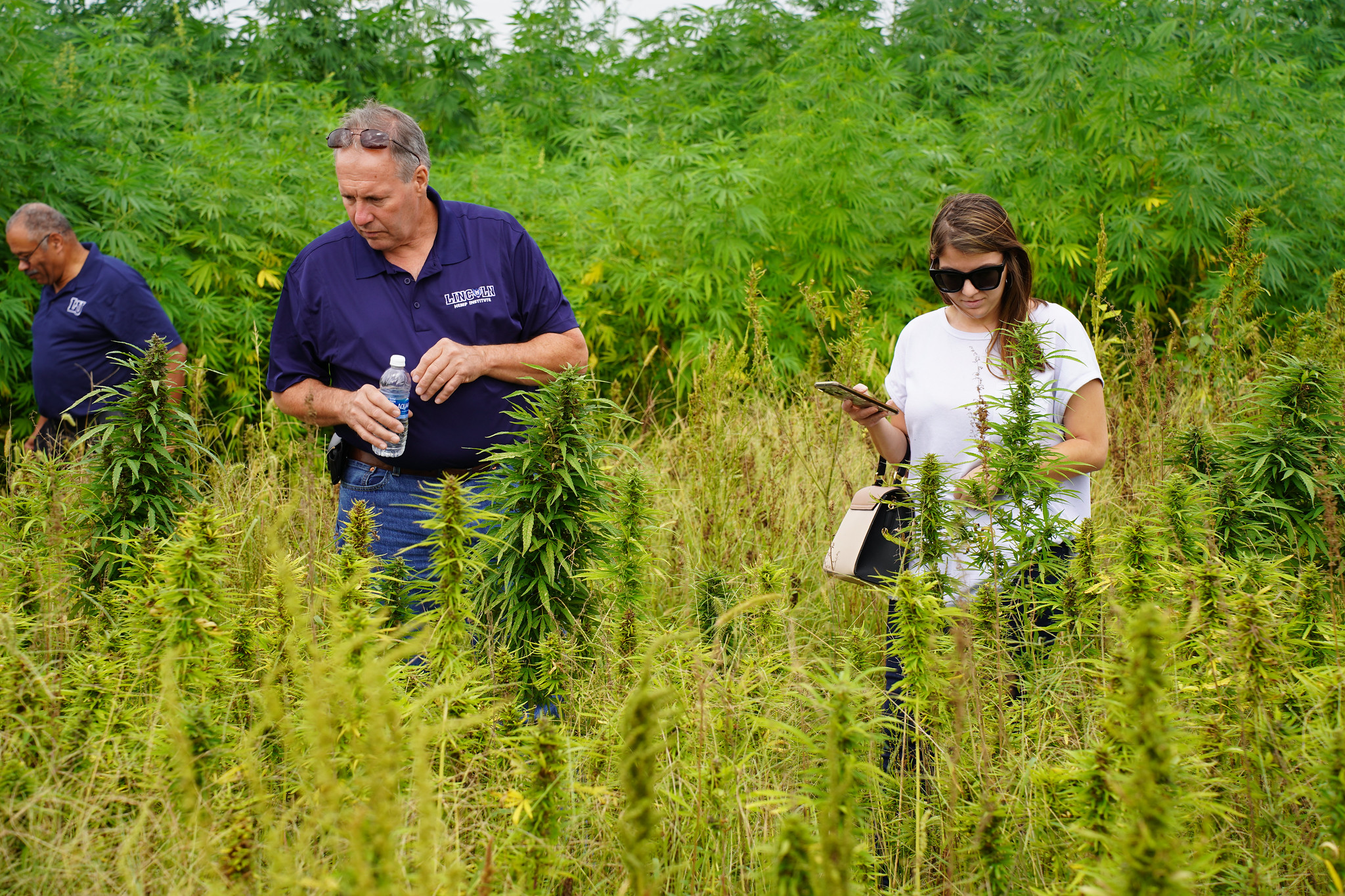 LU Farm Manager Chris Boeckmann supervises all three of Lincoln University’s farms. Here he showcases one of Carver Farm’s leading projects on industrial hemp.