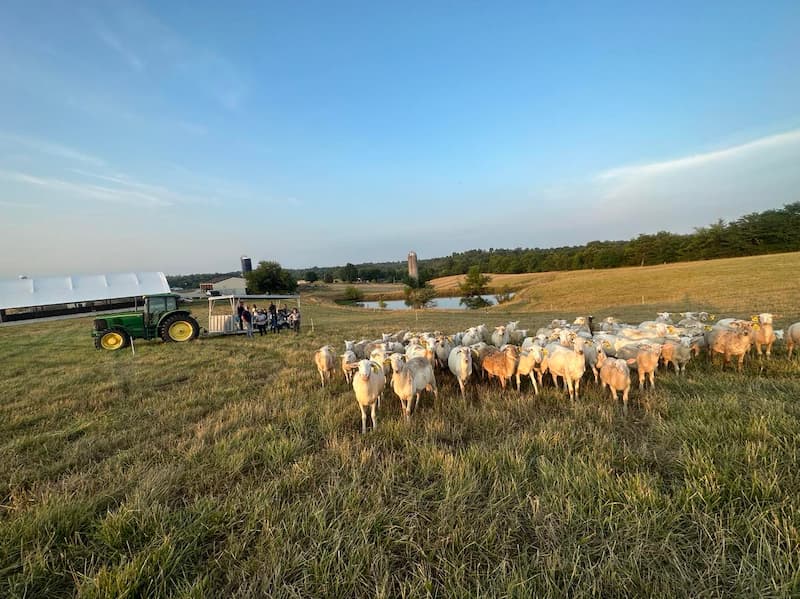 Market gardener apprenticeship students tour university farm