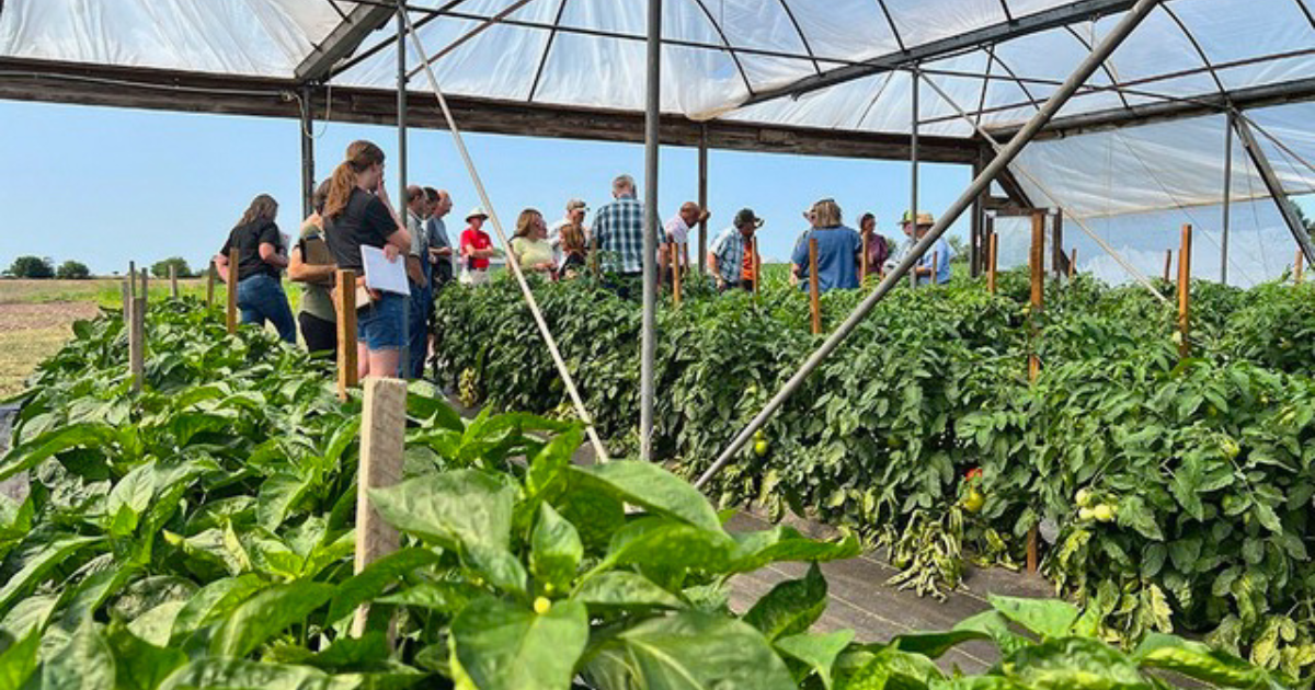 Missouri Growers Association members attend a high tunnel workshop in Versailles, Mo., on June 15, 2023. The organization will lead additional training workshops in 2024.