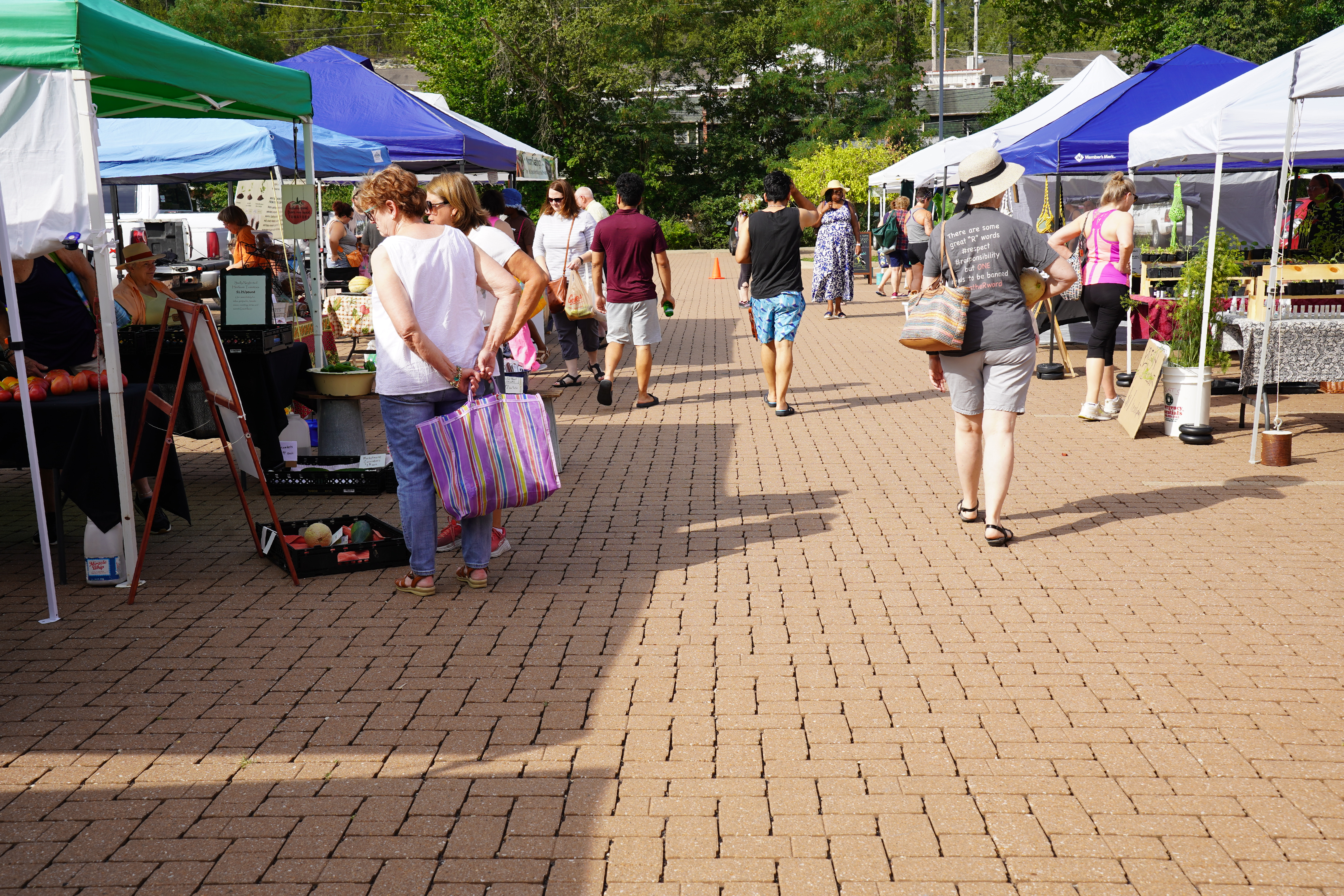 : Several people walk between two rows of tents where vendors sell farm goods.