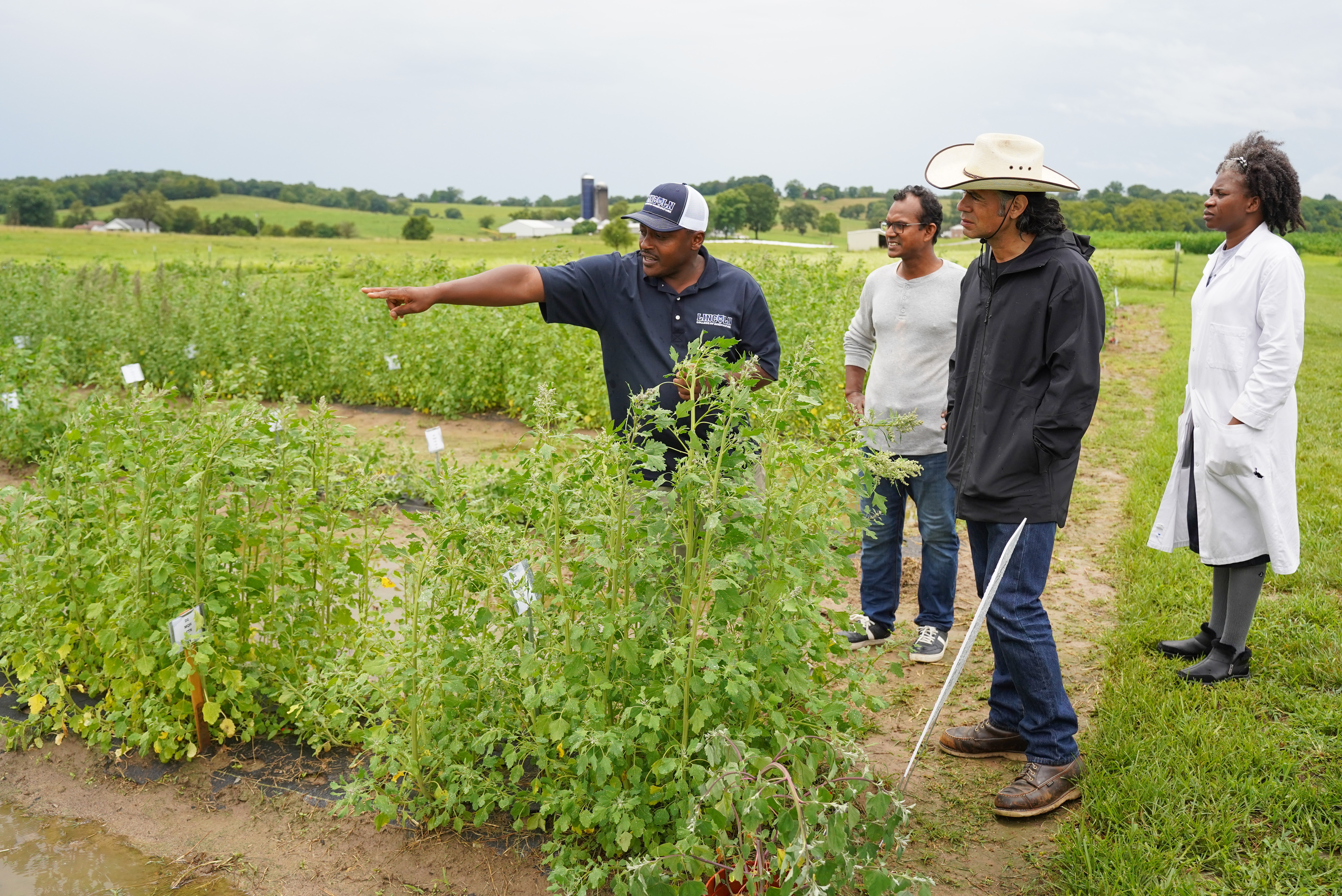 Grato Ndunguru, a research technician with Lincoln University Cooperative Research, talks with a participant about quinoa at last year’s Quinoa Field Day at Carver Farm.