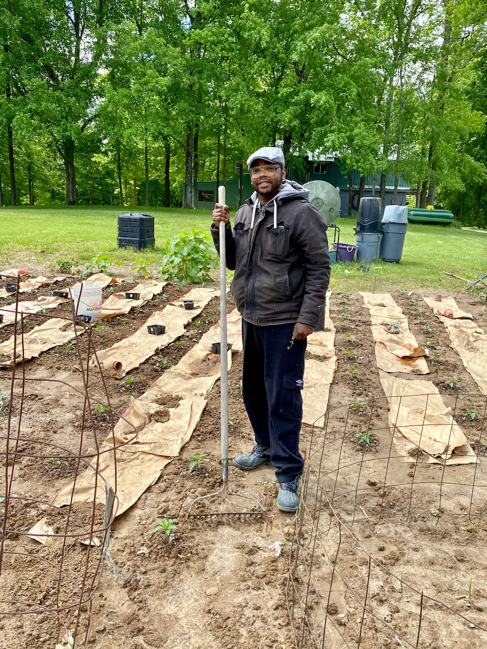 A man stands with a rake among small plants in a garden.