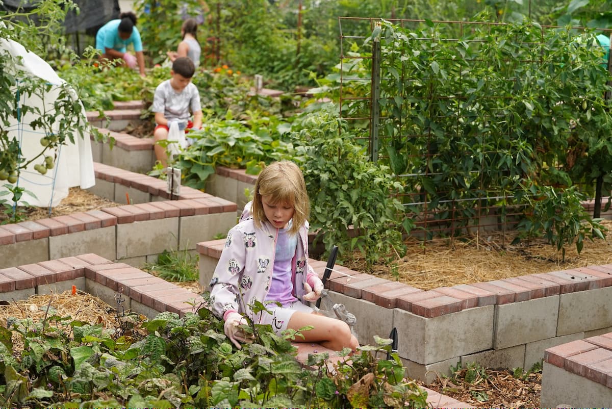 A group of children working in a garden